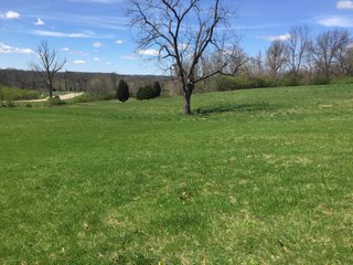 Property photo 26 - REAL ESTATE & LAND AUCTION - 105+/- ACRES IN 4 TRACTS IN BUTLER COUNTY, OHIO